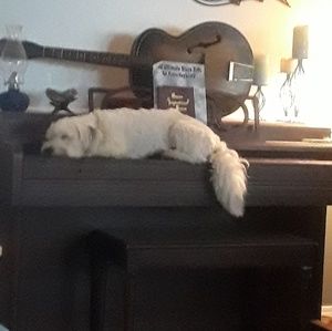 Meet your Posher, Kim